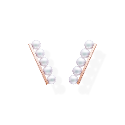 Balance Plus Earrings