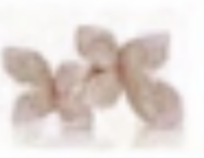 Giardini Segreti Ring Pink Gold