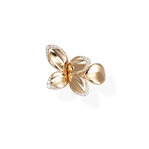 Giardini Segreti Ring