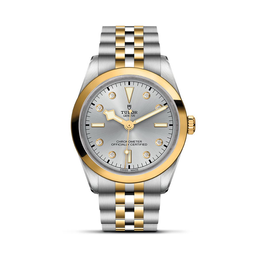 TUDOR Black Bay 36 S&G