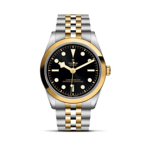 TUDOR Black Bay 36 S&G
