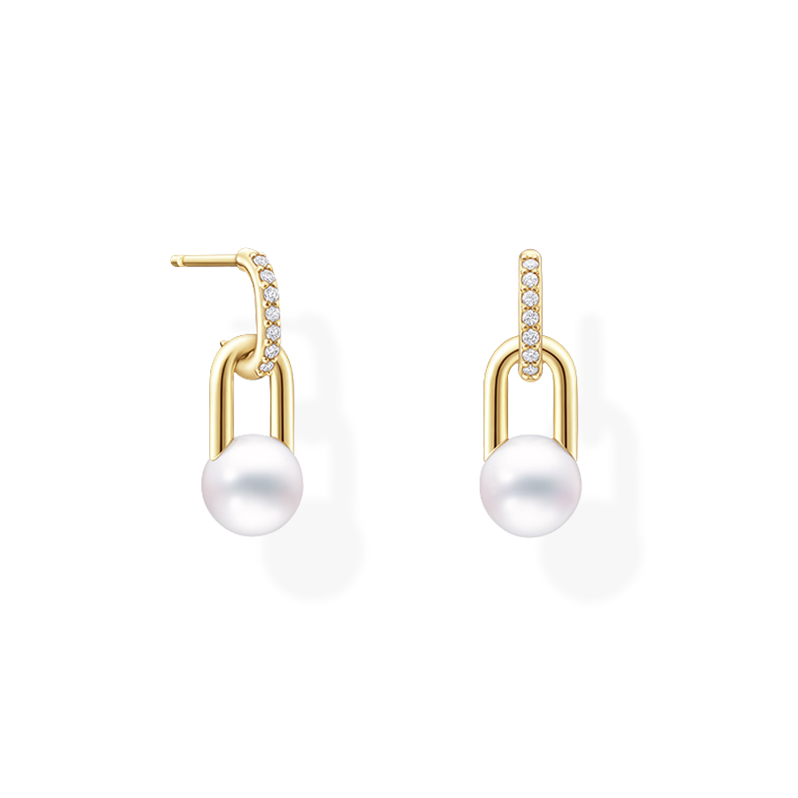 Fine Links Earrings