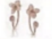 Petit Garden Earrings Pink Gold