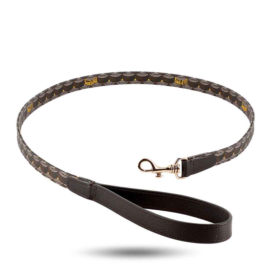 Dog Leash - Chocolate Brown