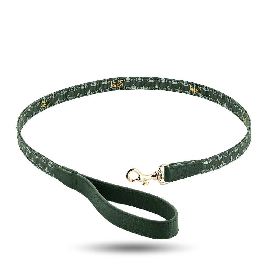 Dog Leash - Empire Green