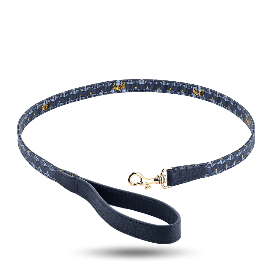 Dog Leash - Paris Blue
