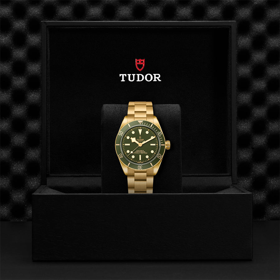 TUDOR Black Bay 58 18K