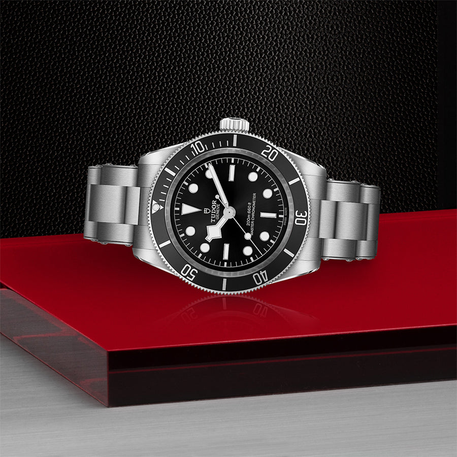 TUDOR Black Bay 'Monochrome'