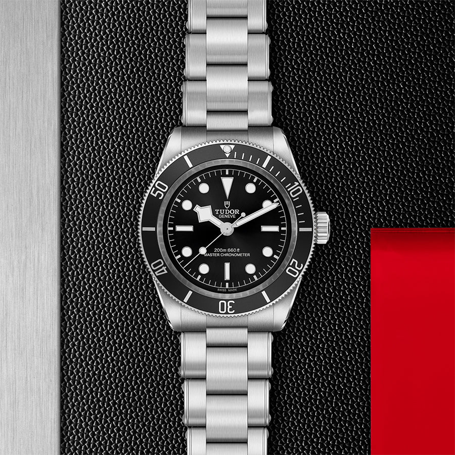 TUDOR Black Bay 'Monochrome'