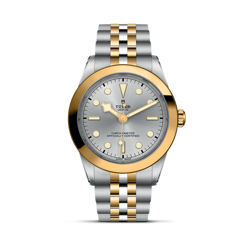 TUDOR Black Bay 39 S&G