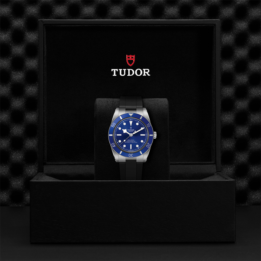 TUDOR Black Bay 54 "Tudor Blue"