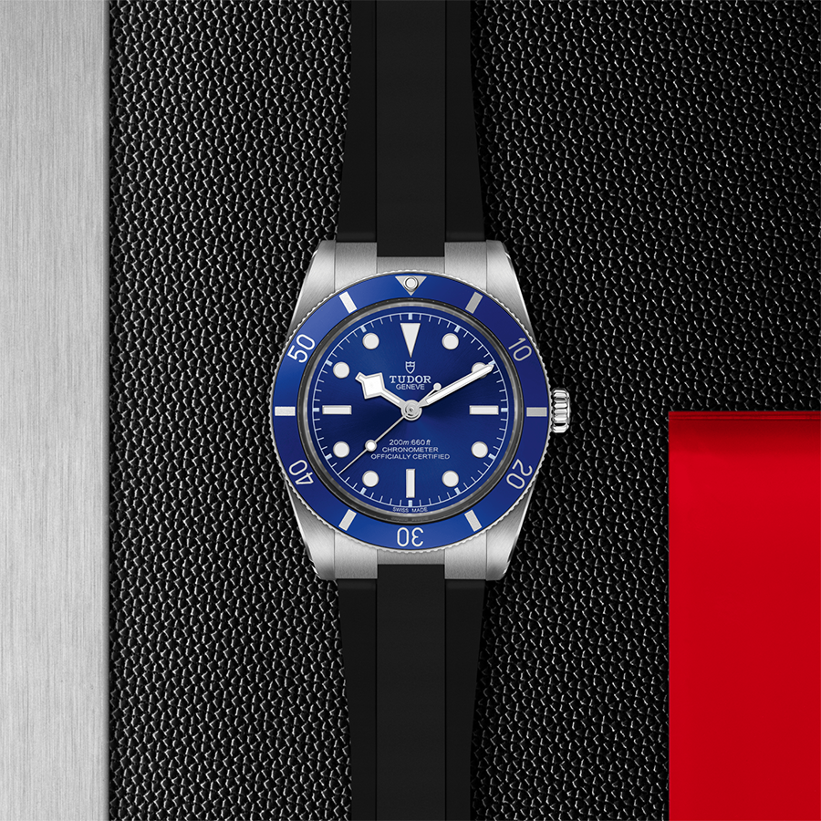 TUDOR Black Bay 54 "Tudor Blue"