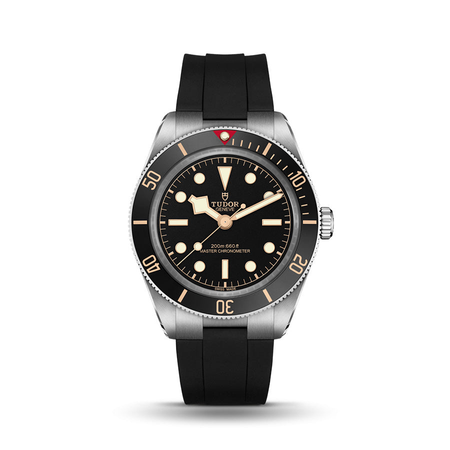 TUDOR TUDOR Black Bay 58