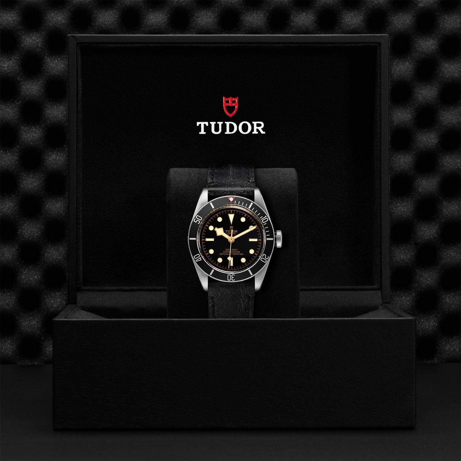 TUDOR Black Bay