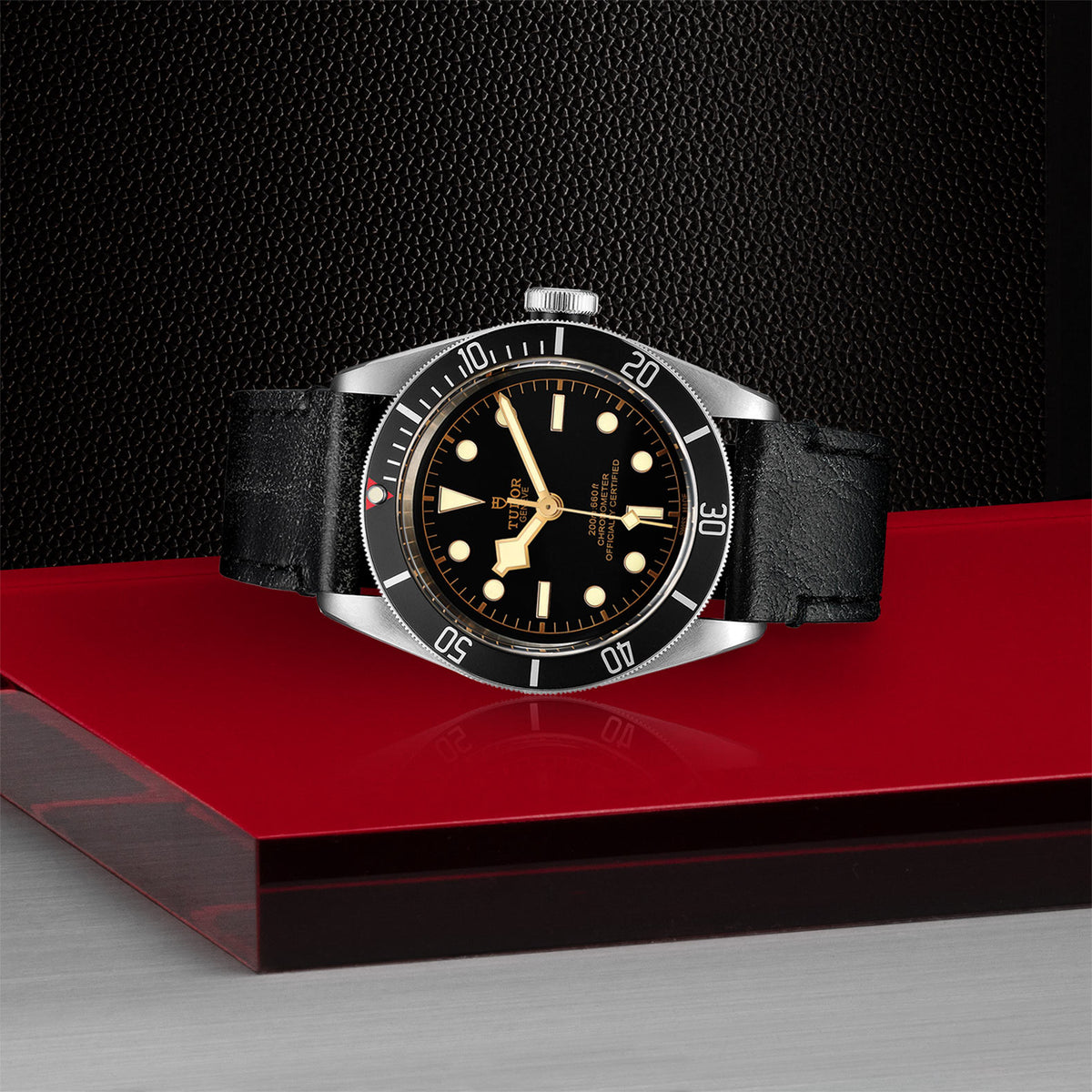 TUDOR Black Bay