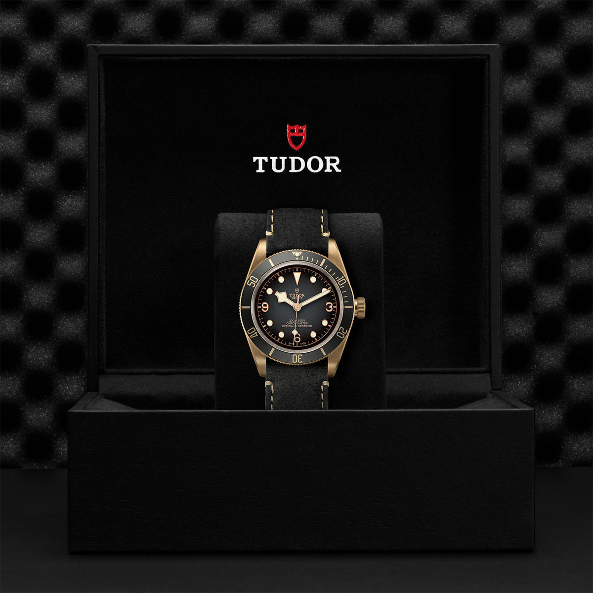 TUDOR Black Bay Bronze