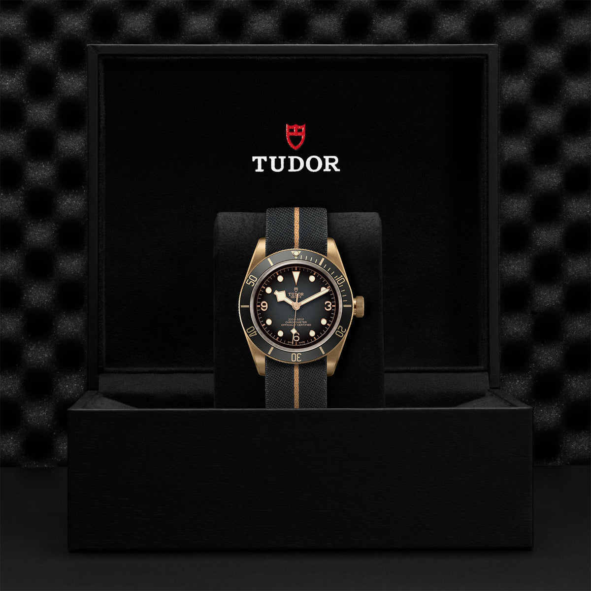 TUDOR Black Bay Bronze