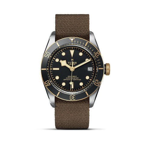 TUDOR Black Bay S&G